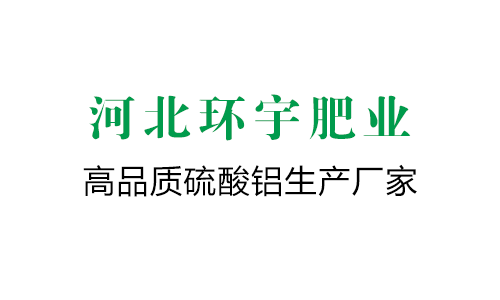 不銹鋼螺旋上料機